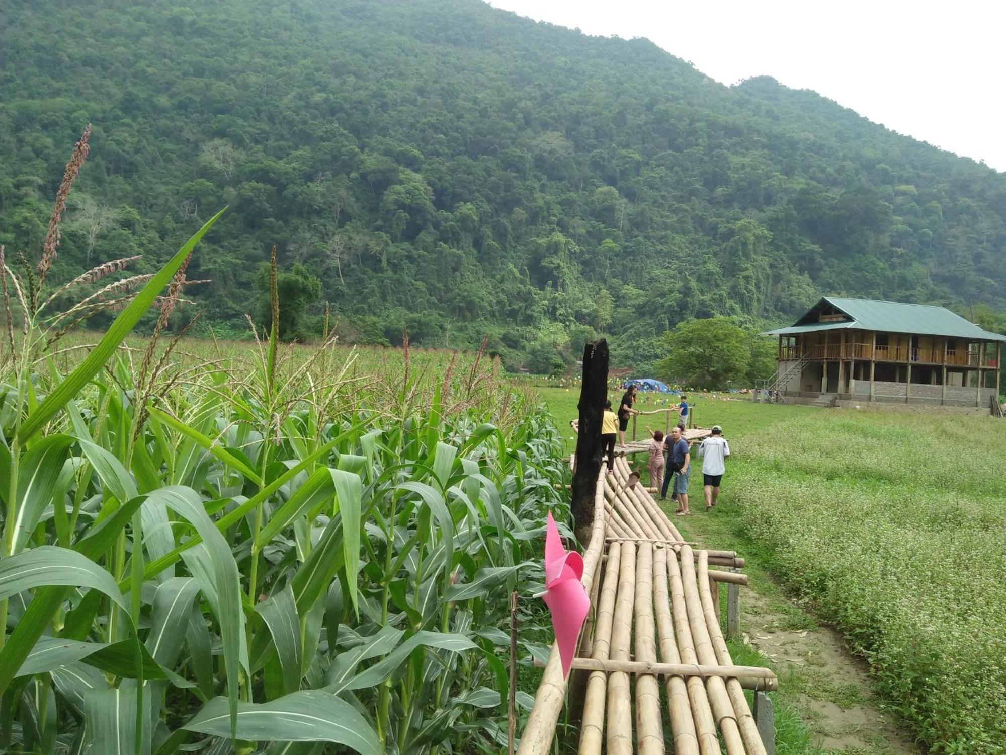 Tran Xuan Homestay Ba Be المظهر الخارجي الصورة
